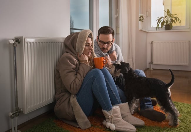 04 Una pareja con frio y un perro Schnauzer junto a un radiador de calefaccion que no funciona