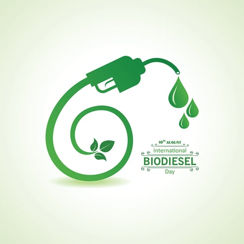 09. illustration international biodiesel